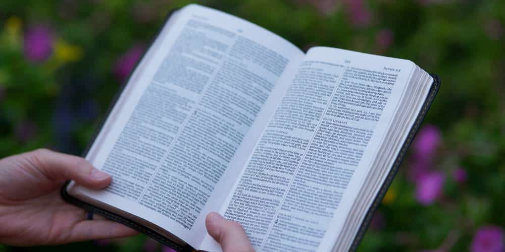 bible verses about comfort