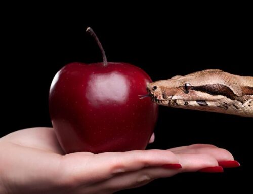 The Definition of Lust in the Bible